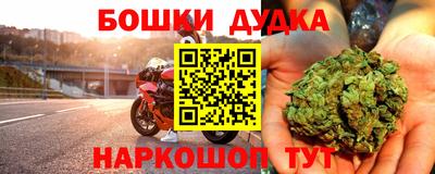 гашик Гатчина
