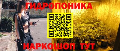 метадон Гай