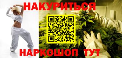 гашик Гатчина