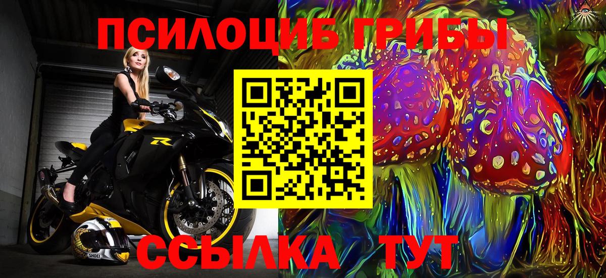 Псилоцибиновые грибы ЛСД  Галлюциногенные грибы ЛСД  Балаково  Вход с VPN 